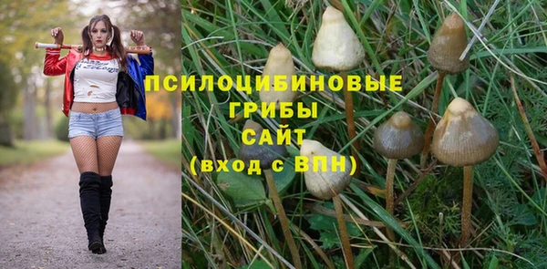 первитин Нея