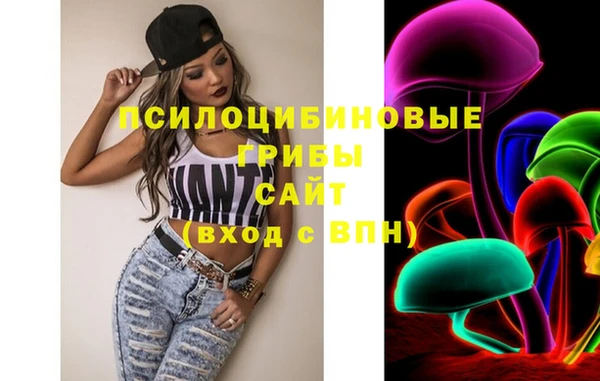 тгк Абаза